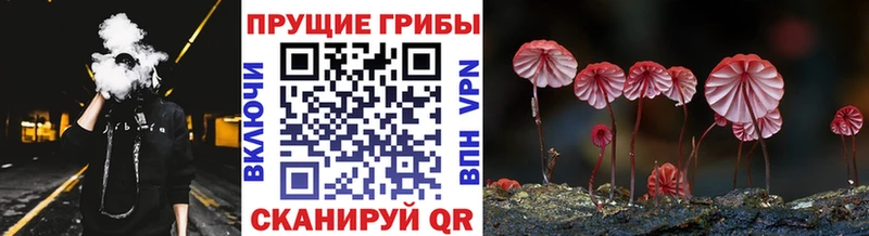 купить закладку Терек Галлюциногенные грибы мухоморы