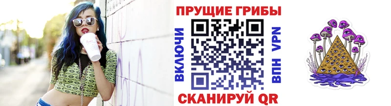 Псилоцибиновые грибы MAGIC MUSHROOMS Терек