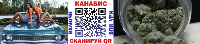 Канабис SATIVA & INDICA  где можно купить   shop клад  Терек 